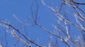 Buscan crear más acceso a viviendas asequibles para ciudadanos vulnerables. /Archivo