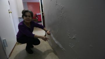 Residente de NYCHA, Maria Medina, 59. Sufre de asma y no le reparan el problema de pintura.