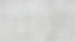 La Defensora del Pueblo Letitia James se alista para ir a las elecciones primarias. /Mariela Lombard