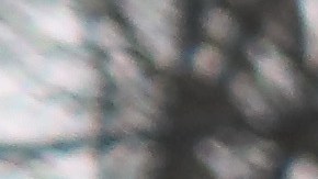 El arresto de pandilleros en Long Island sigue en aumento.