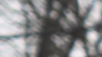 El arresto de pandilleros en Long Island sigue en aumento.