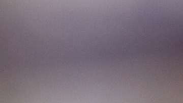 Las plantas florales que se siembran en primavera, y dan flores amarillas, atraen abejas y mariposas.