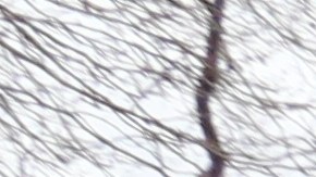 Parque de recreo en un edificio NYCHA