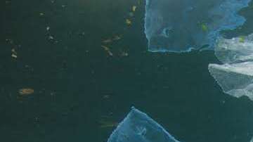 Los popotes plásticos son una amenaza para las especies marinas.