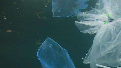 Los popotes plásticos son una amenaza para las especies marinas.