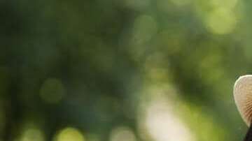 Si solo pensamos en lo que va a suceder, dejamos de disfrutar muchas cosas.