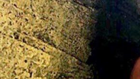 Roberge se tomó varias fotos del viaje y las publicó en redes para presumir.