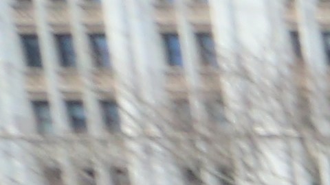 Lisette Nievesy Rob Deleon. Concejal Andy King, jovenes y familias llaman a que se aumente la edad de responsabilidad criminal para adolecentes que estan en las carceles.