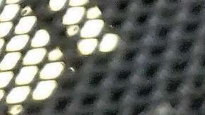 Cómo preparar una cheesecake sin cocción con frutos rojos.