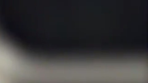 Las ratas son un serio problema en Nueva York.