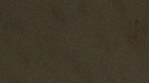 Operativo de oficiales de ICE en Bushwick, Brooklyn.