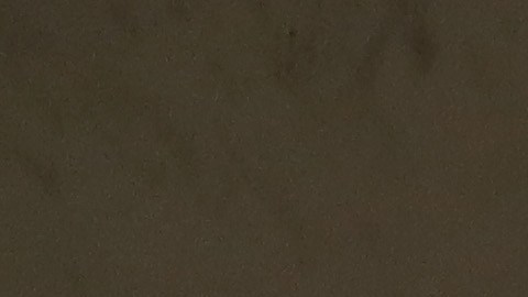 Operativo de oficiales de ICE en Bushwick, Brooklyn.