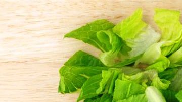 Se pide a restaurantes y minoristas evitar lechuga romana proveniente de Yuma, Arizona