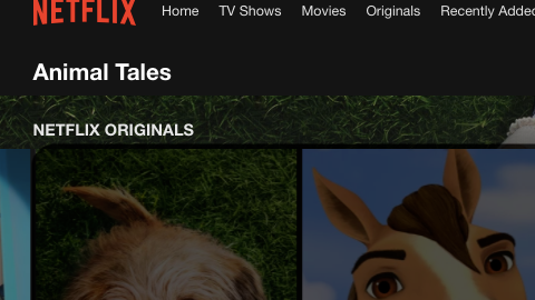 Películas sobre animales en Netflix