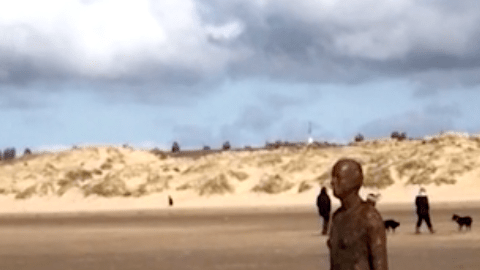 Este border collie está convencido de que ese hombre puede jugar con él.