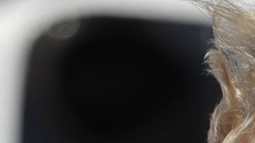 Trump recibe un premio a su impopularidad