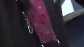 Una conductor de autobús hace mucho que más que conducir.