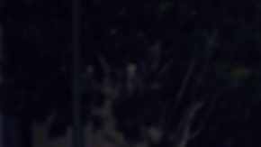 Hyundai se mantiene en la cima.