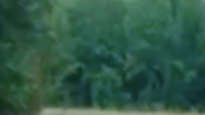 Esta joven deja claro su talento solo con su guitarra y su voz.