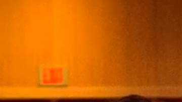 Una boda por todo lo alto para conseguir millas Delta.