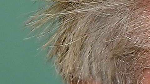 Sean Penn.