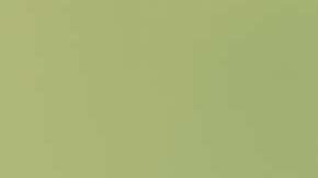 El peso de tu bolso no debe exceder el 10% de tu propio peso.