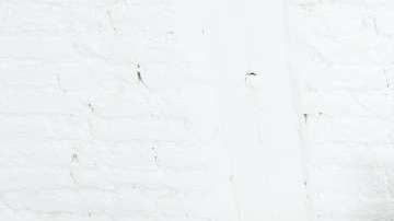 Juntos, pero alejados.