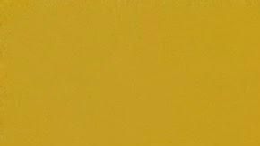 Sony Xperia XZ Premium.