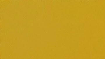 Sony Xperia XZ Premium.