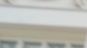 Taxistas se manifiestan en City Hall en contra de la propuesta del concejal Ruben Diaz Sr. que impondra tarifas de $2,000 a los conductores.