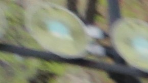 Neno Hervias. Taxistas se manifiestan en City Hall en contra de la propuesta del concejal Ruben Diaz Sr. que impondra tarifas de $2,000 a los conductores.