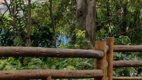 Este Prius está a prueba.