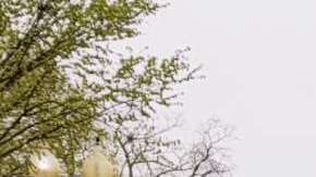 Activistas pro-inmigrantes piden solución permanente para "tepesianos".