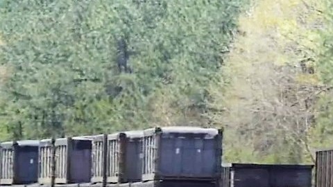 Los vagones llevan varias semanas abandonados.