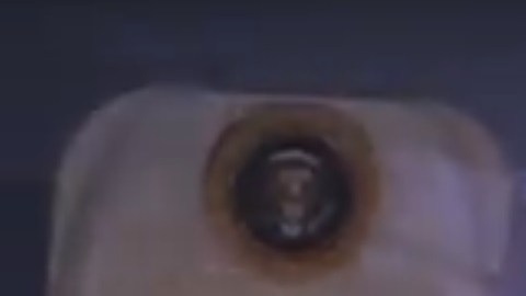 El presidente Trump bajando del Air Force One.