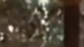 En YouTube hay varios videos sobre "El Chapo", incluido este donde, supuestamente, interroga a un enemigo.