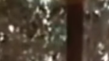 En YouTube hay varios videos sobre "El Chapo", incluido este donde, supuestamente, interroga a un enemigo.