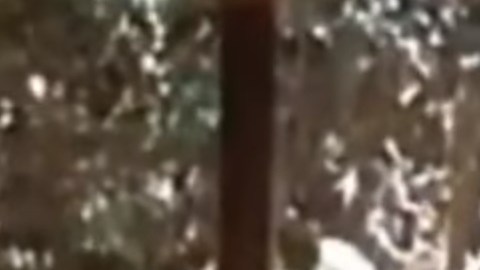 En YouTube hay varios videos sobre "El Chapo", incluido este donde, supuestamente, interroga a un enemigo.