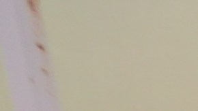 Yashira Figueroa de 29 años, (con un gorra) con su mama, Luz Mercado y la pareja de Yashira, Evelyn Luna, 30 y la perrita Esmeralda viven en el Hotel Stay America desde que Maria azoto Puerto Rico desplazandolas de su casa.