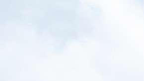 Nueve personas fueron encontradas asesinadas durante la noche del miércoles en el municipio mexicano de Zapopan.