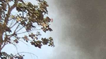 La erupción volcánica surge del suelo y bloquea una vía.