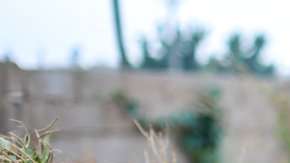 La adicción al jarabe afecta a jóvenes nigerianos de todas las clases sociales.