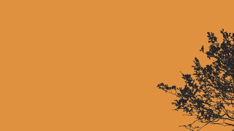 Aunque la mayoría de las personas pierden la virginidad en los últimos años de su adolescencia, esa no es la norma para todo el mundo.