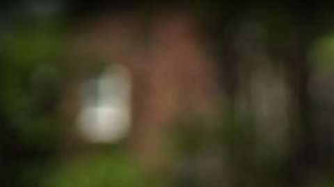 Twanda Marshinda Brown pasó 57 días en la cárcel por una multa de tránsito.