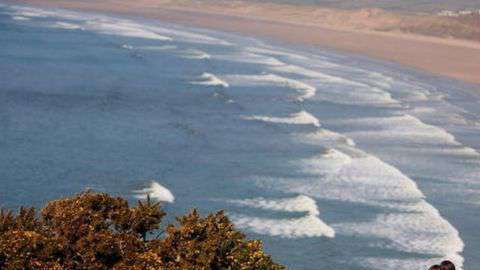 La criatura apareció en la playa de Rhossili, en la costa sur de Gales.
