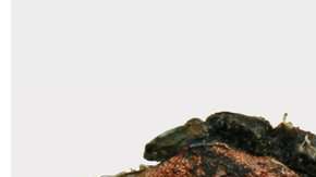 Los restos fueron encontrados en un poblado en el sur de Hungría.