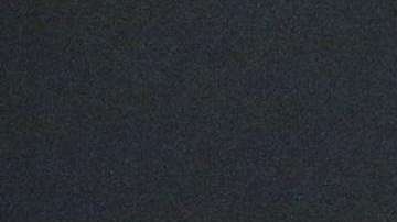 Trump asegura que las empresas se aprovechan de las visas de trabajo por lo cual quiere regularlas fuertemente