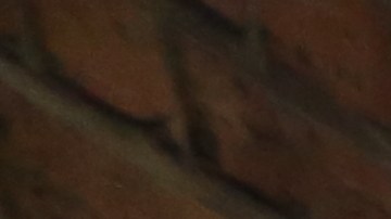 Jose Ventura con su hijo, Carlos. Inquilinos del 331 Keap St. en Brooklyn se quejan del casero por discriminación.