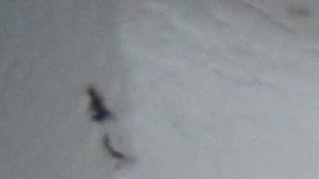 Mexicana Luisa Vivaldo. Inquilinos del 331 Keap St. en Brooklyn se quejan del casero por discriminación.