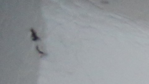 Mexicana Luisa Vivaldo. Inquilinos del 331 Keap St. en Brooklyn se quejan del casero por discriminación.